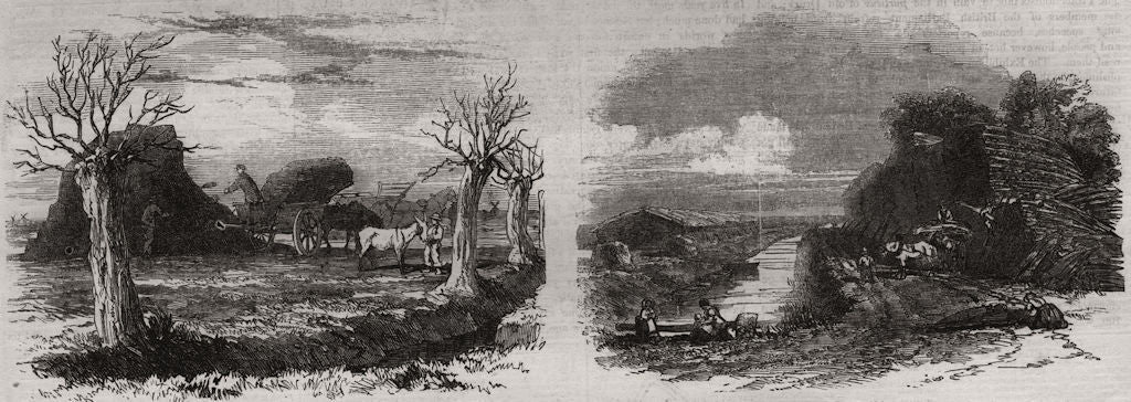Carting peat from the stack; Stacking reed, Holme Lodge. Cambridgeshire 1851